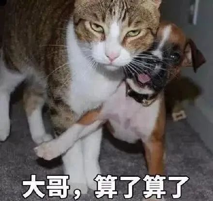 DƬ